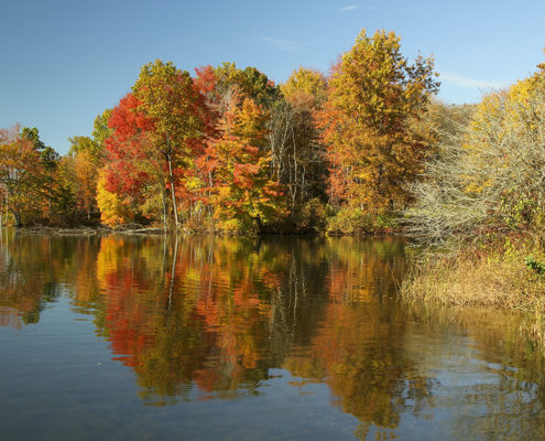 Autumn trees in Pennsylvania
